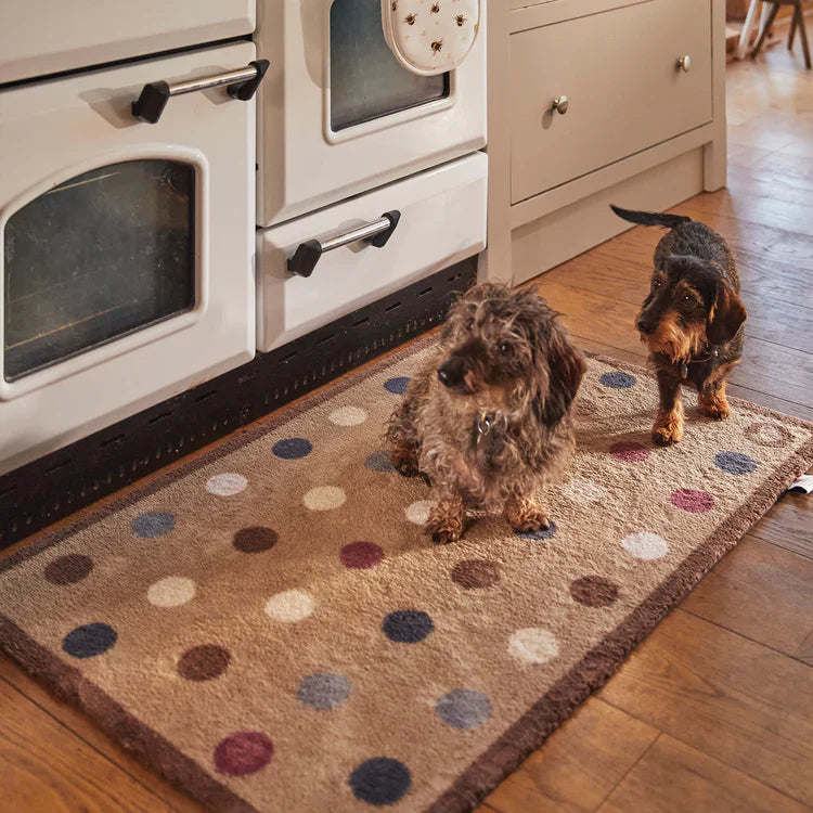 Two dogs on a polka dot rug in front of a vintage-style stove.