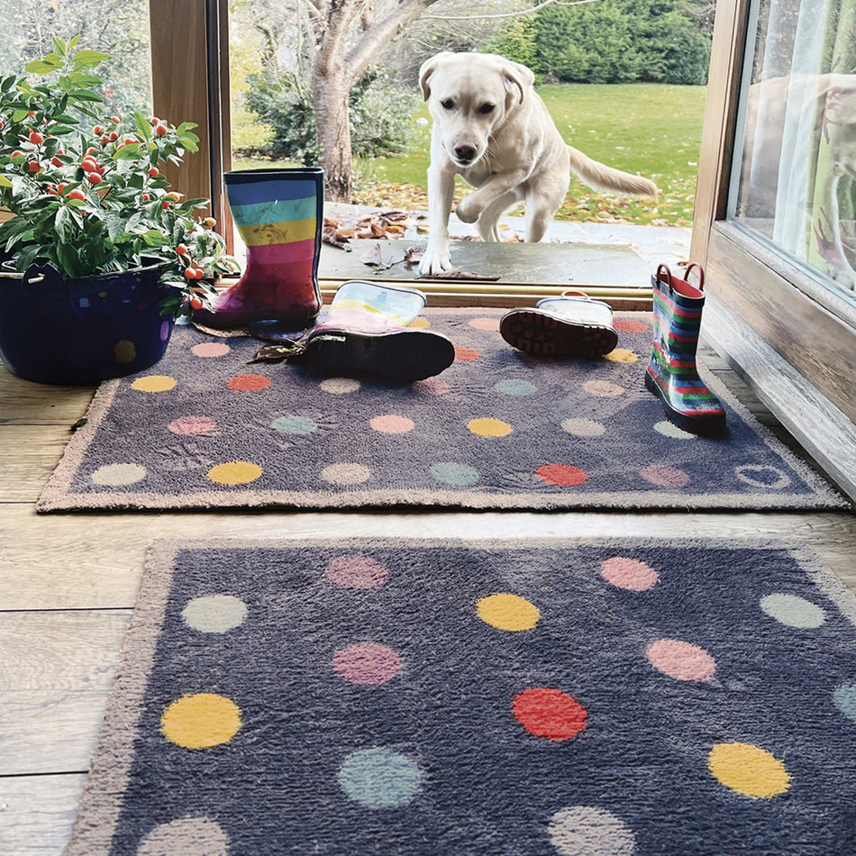 Polka dot rug with colorful rain boots and a dog looking out of a glass door.