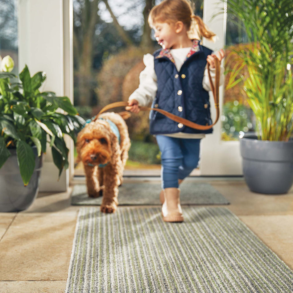 Child walking a dog on a leash indoors with plants and a rug in the background