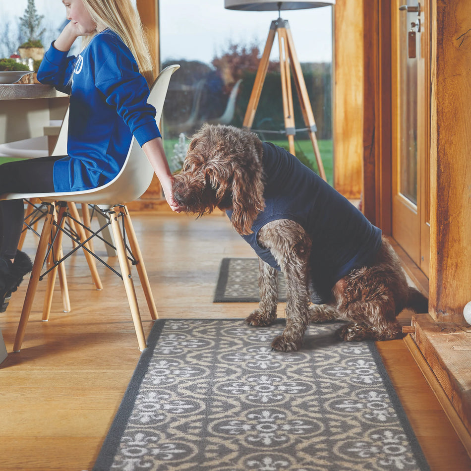Person and dog interacting on a patterned rug in a home setting