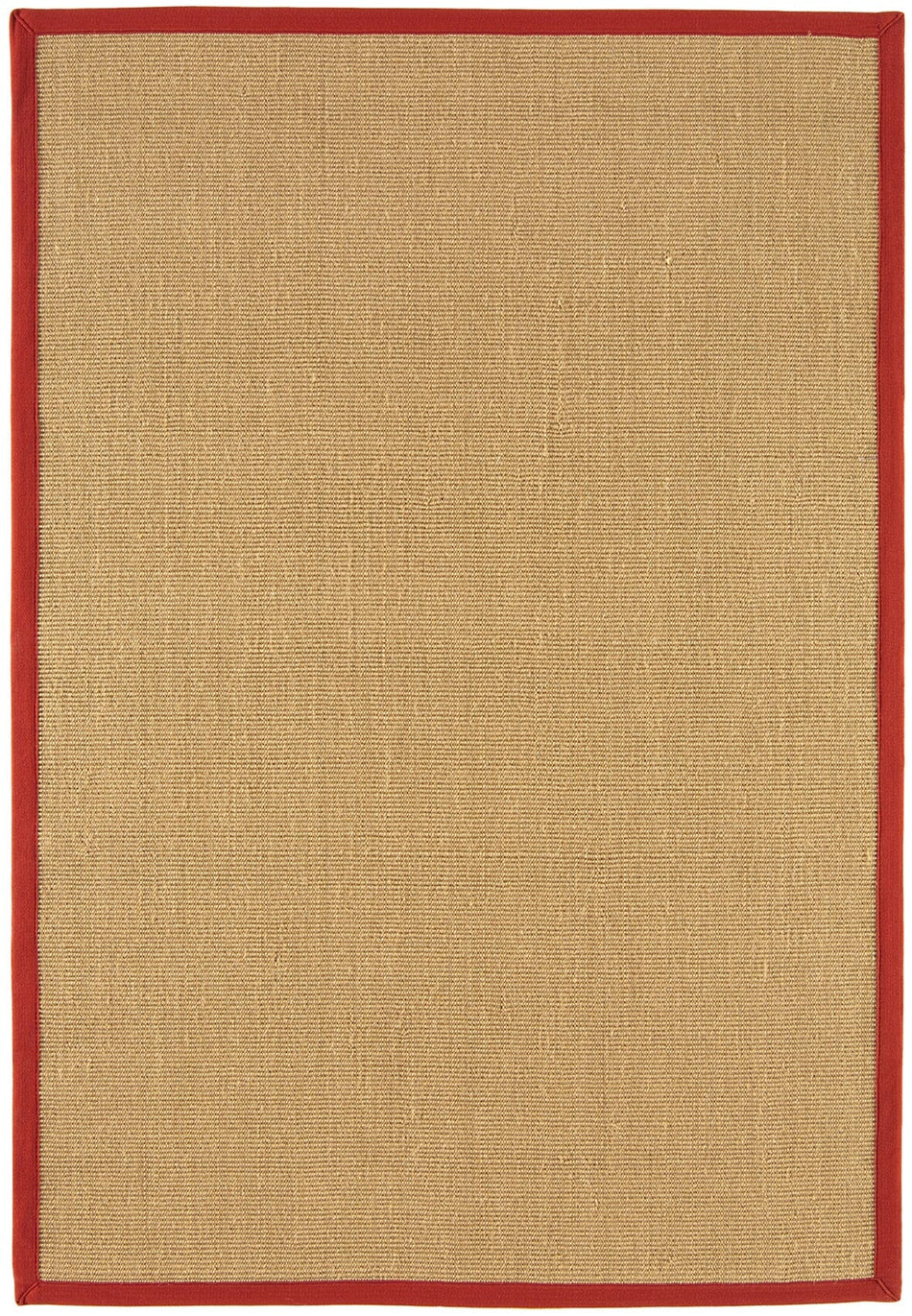 Sisal rug with red cotton border full view