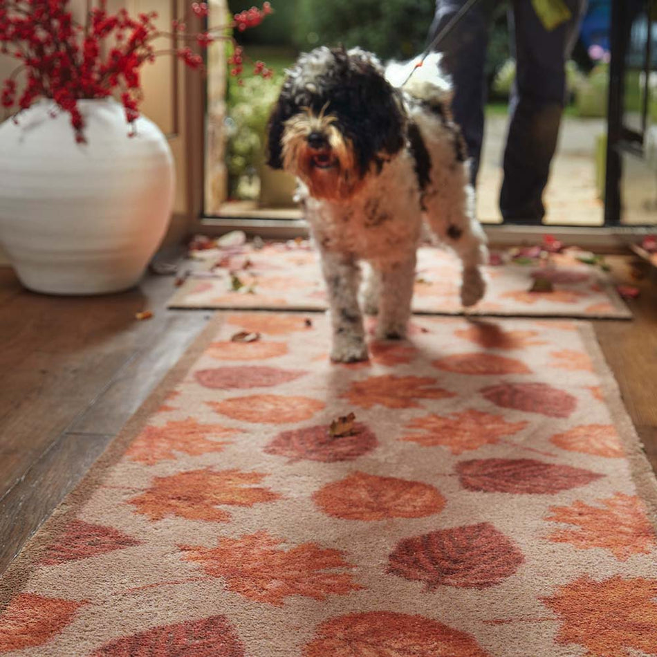 Hug Rug Autumn Leaves eco-friendly doormat in hallway

