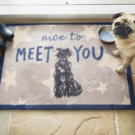 Doormat with 'nice to MEET YOU' text and a pug illustration, next to a pug and a bowl.