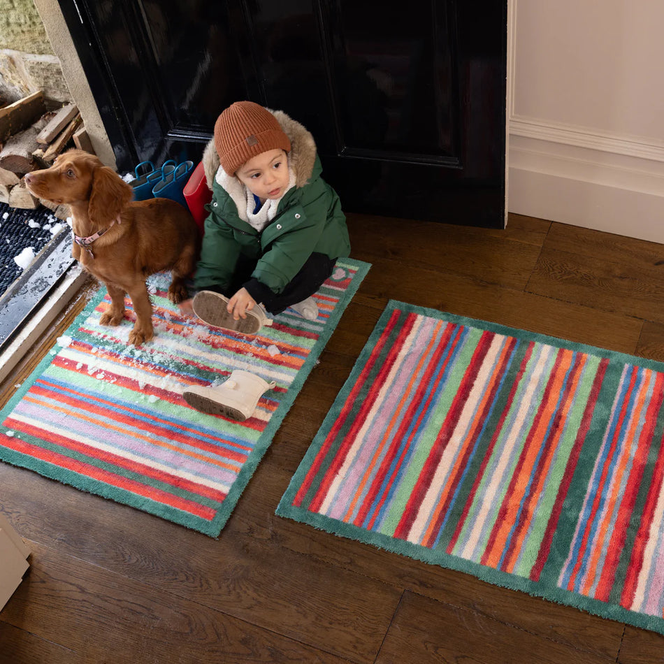 Child and dog on striped rugs in a home setting