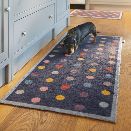 Dog on a polka dot rug in a home setting