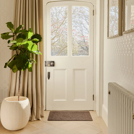 Entryway with a white door, plant, and doormat in a home interior.