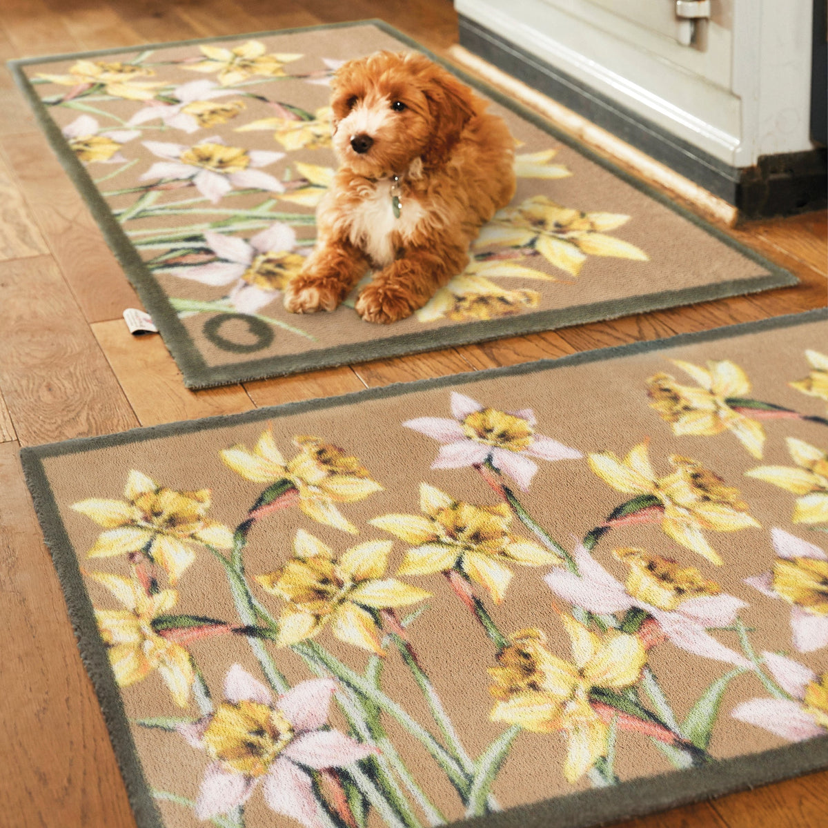 Hug Rug Daffodil Blooms brightening neutral hallway

