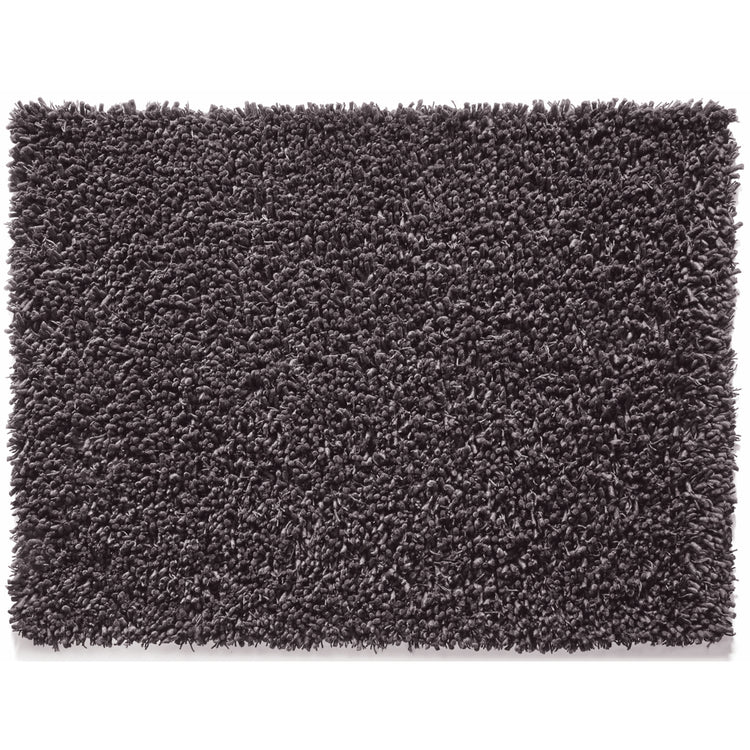 Rug Guru Maine Fossil