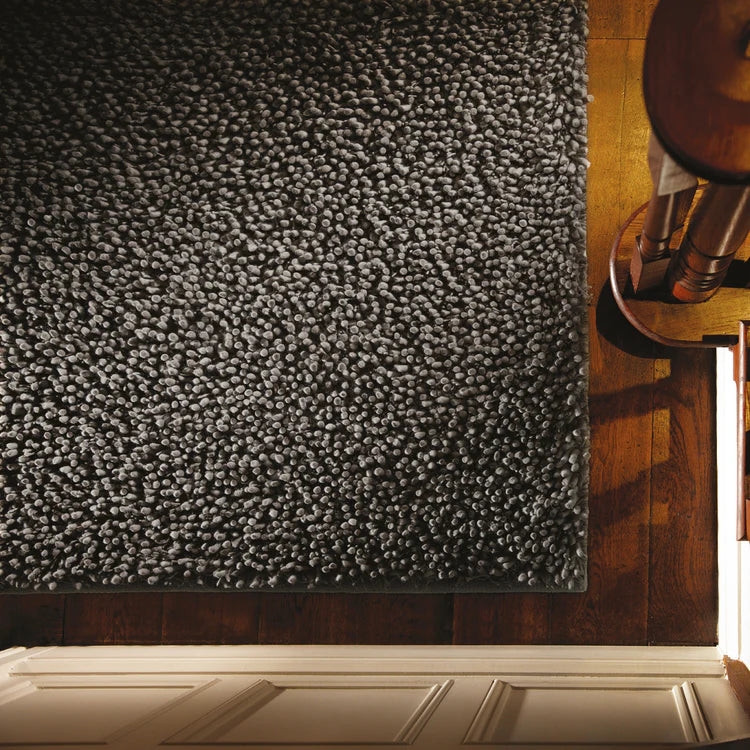 Rug Guru Maine Fossil