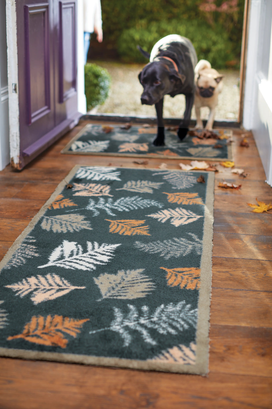 Hug Rug indoor mat absorbing mud and moisture


