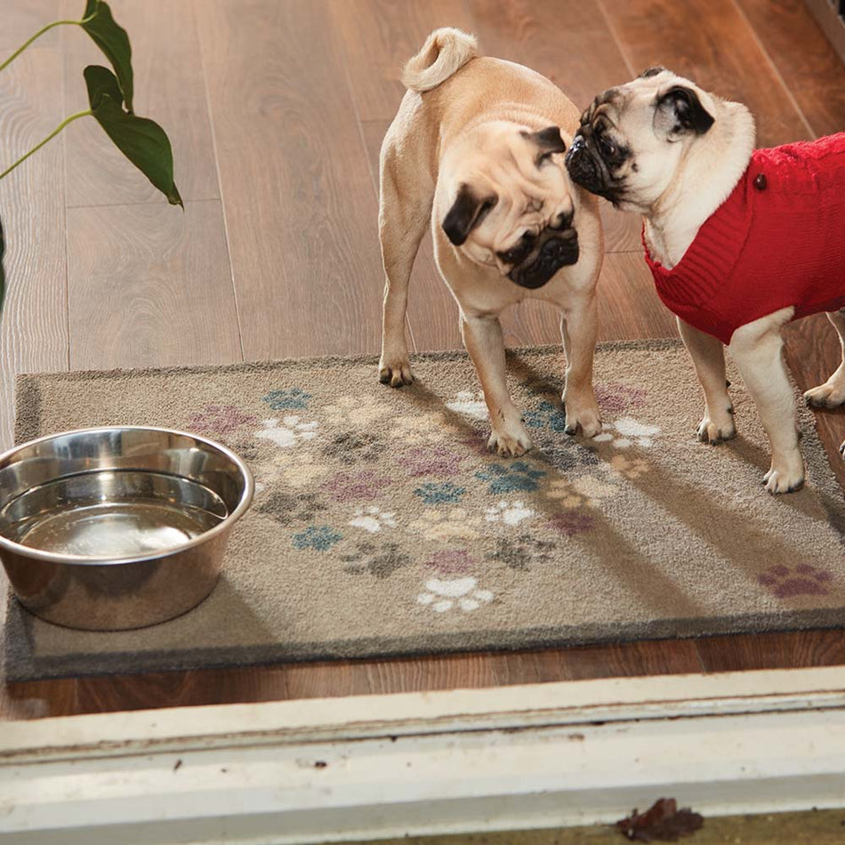 Beige-bordered pet doormat catching muddy paws


