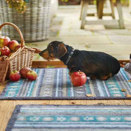 Washable striped doormat for dogs and pets

