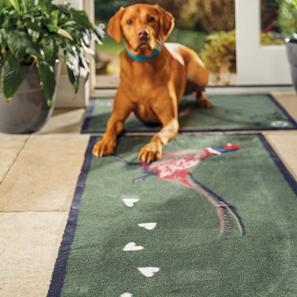 Close-up of Hug Rug Pheasant Green 2 featuring country pheasant print on absorbent recycled fabric