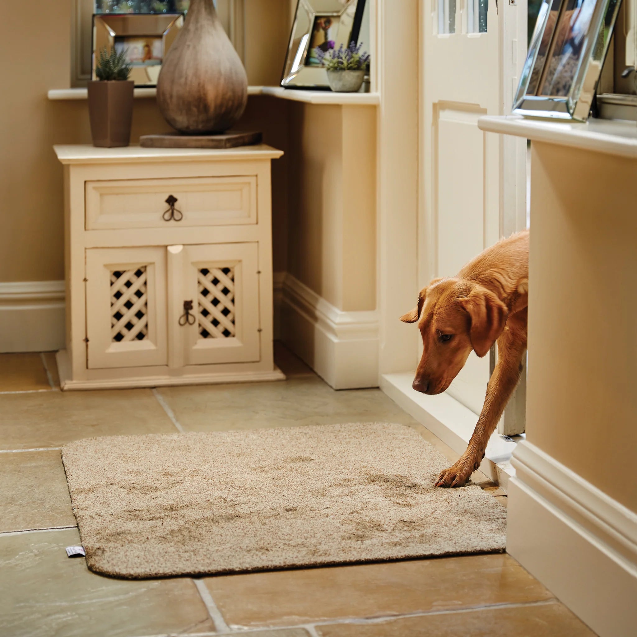 Dog entering a room through hallway with a decorative cabinet and rug on a stone floor.