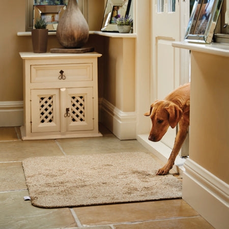 Dog entering a room through hallway with a decorative cabinet and rug on a stone floor.
