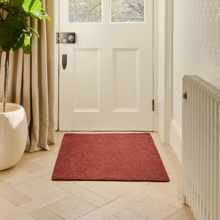Red doormat in front of a white door with a plant and radiator in the background