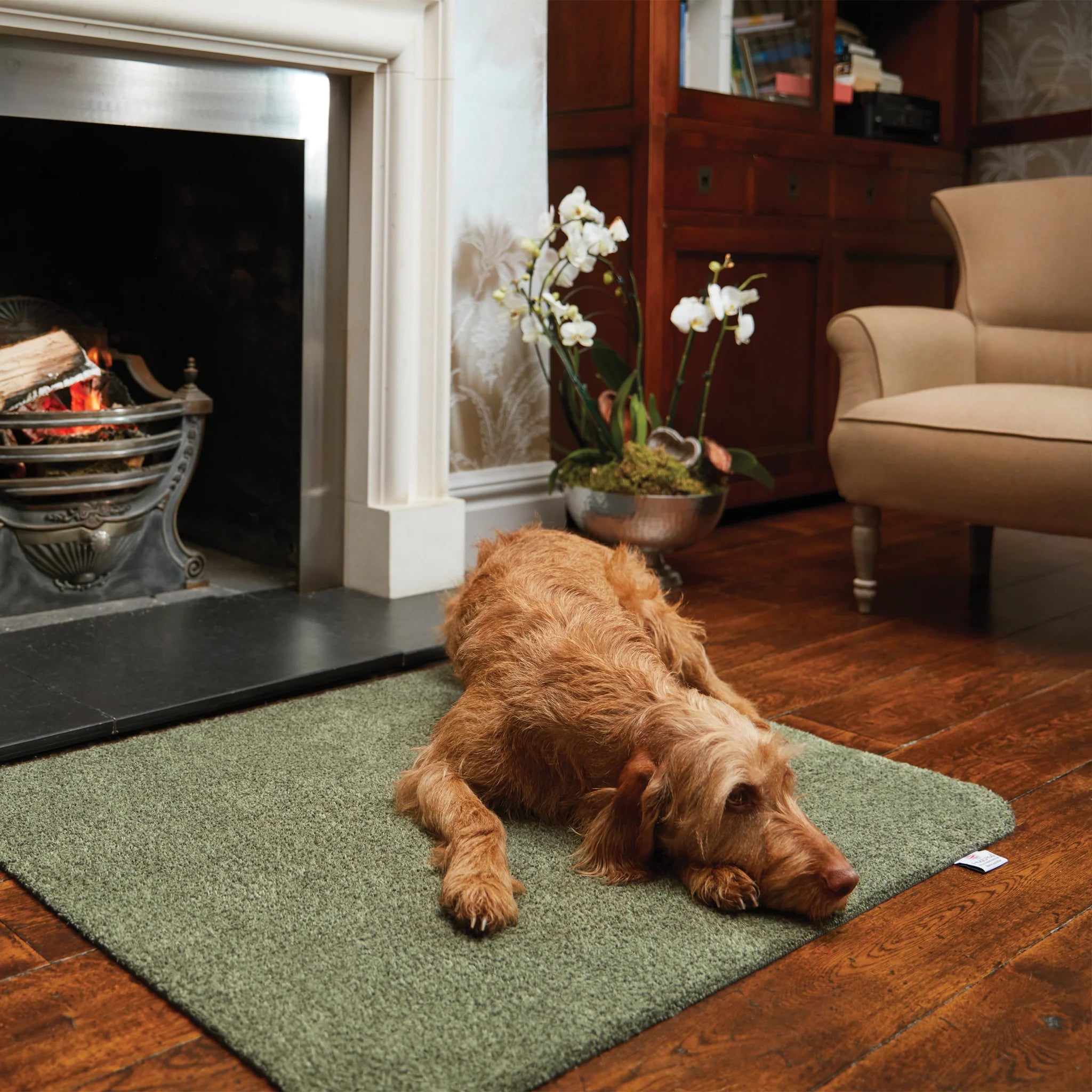 Dog lying on a green mat in front of a fireplace in a cozy living room.