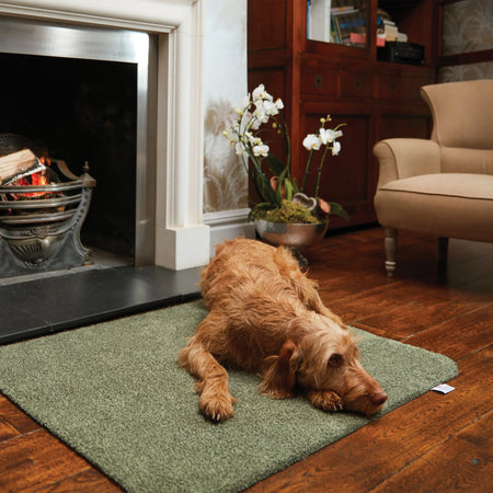 Dog lying on a green mat in front of a fireplace in a cozy living room.