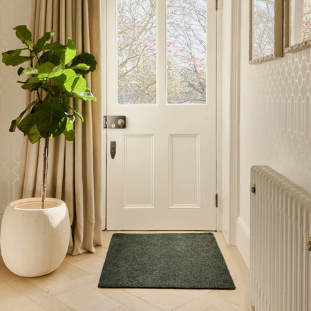 Entryway with a green doormat, plant, and radiator.