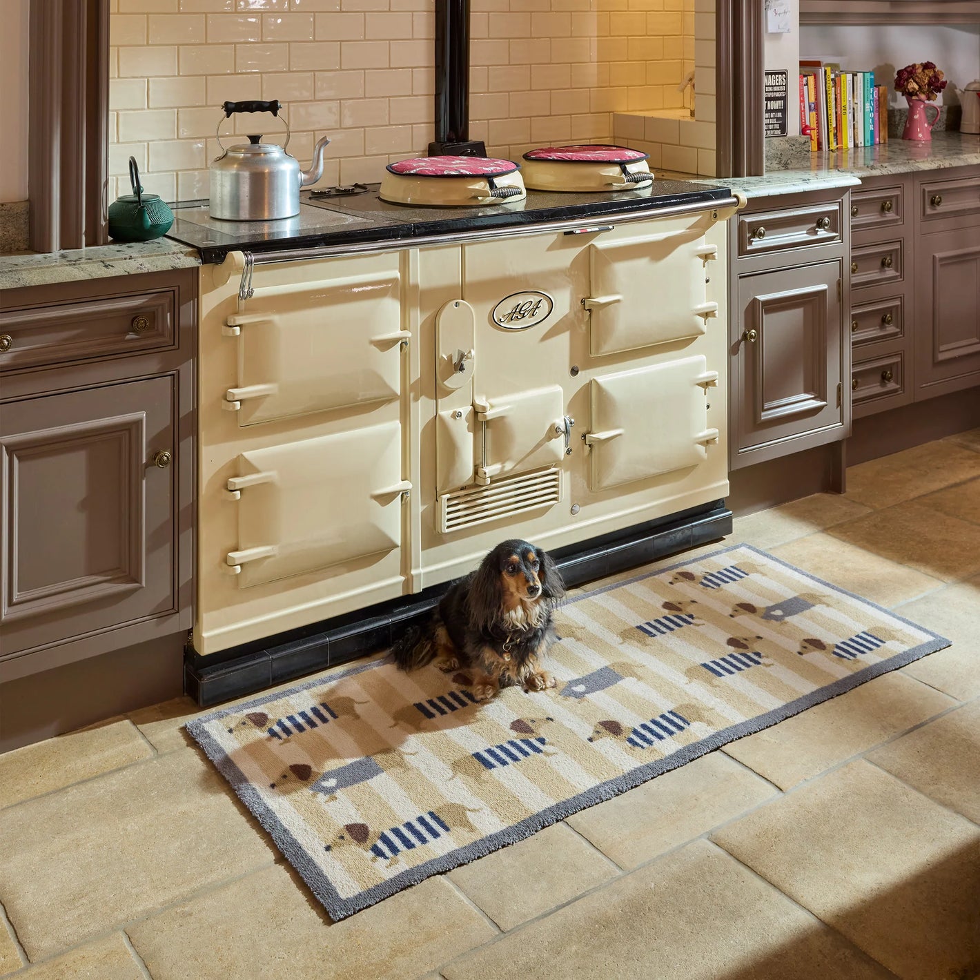 Eco-friendly doormat with colourful sausage dogs in jumpers

