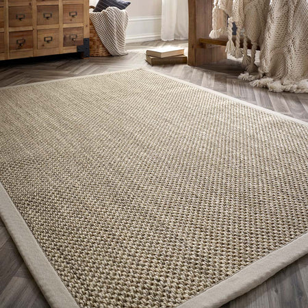 Origins Sisal Rug Light Beige with Sand Border in living room
