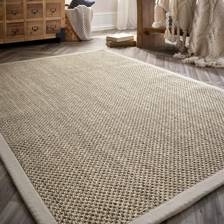 Origins Sisal Rug Light Beige with Sand Border in living room