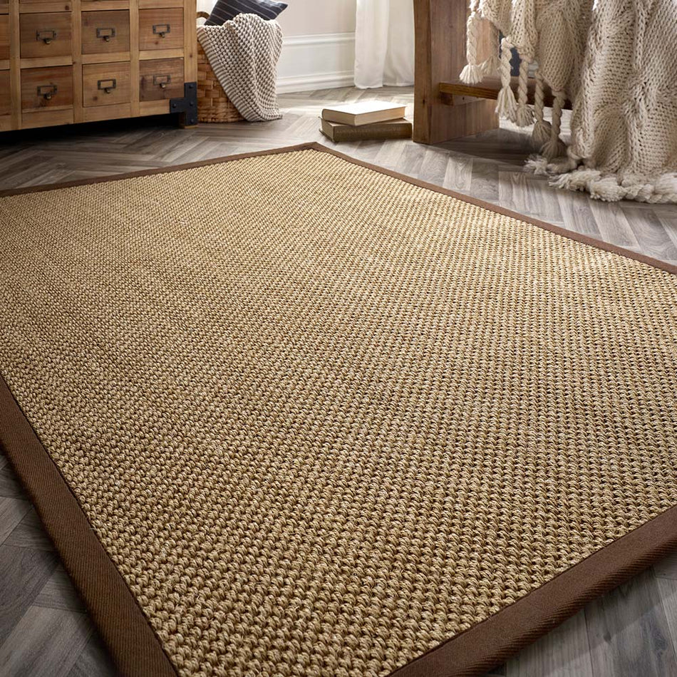 Origins Sisal Rug Natural with Dark Brown Border in living room