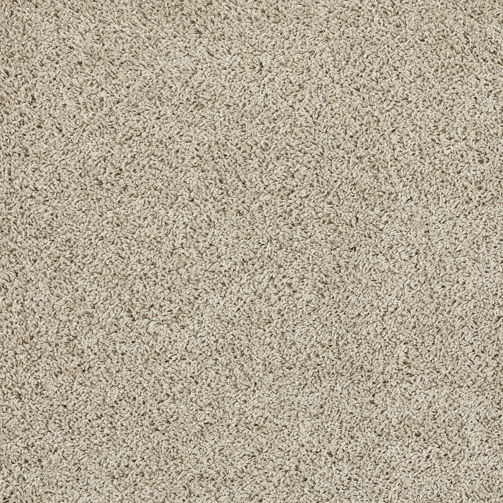 my rug Beige carpet texture swatch