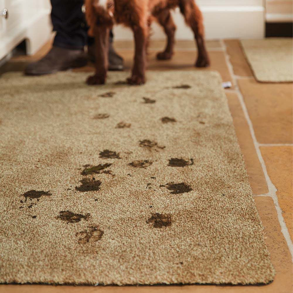 Dog paw prints on a doormat with a person and dog in the background
