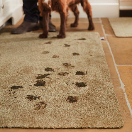 Dog paw prints on a doormat with a person and dog in the background