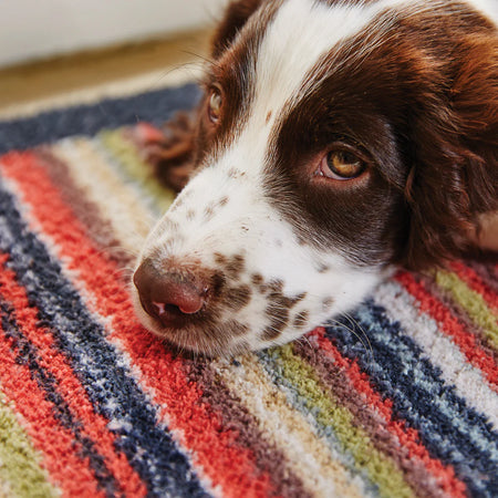 Eco-friendly Hug Rug made from recycled materials

