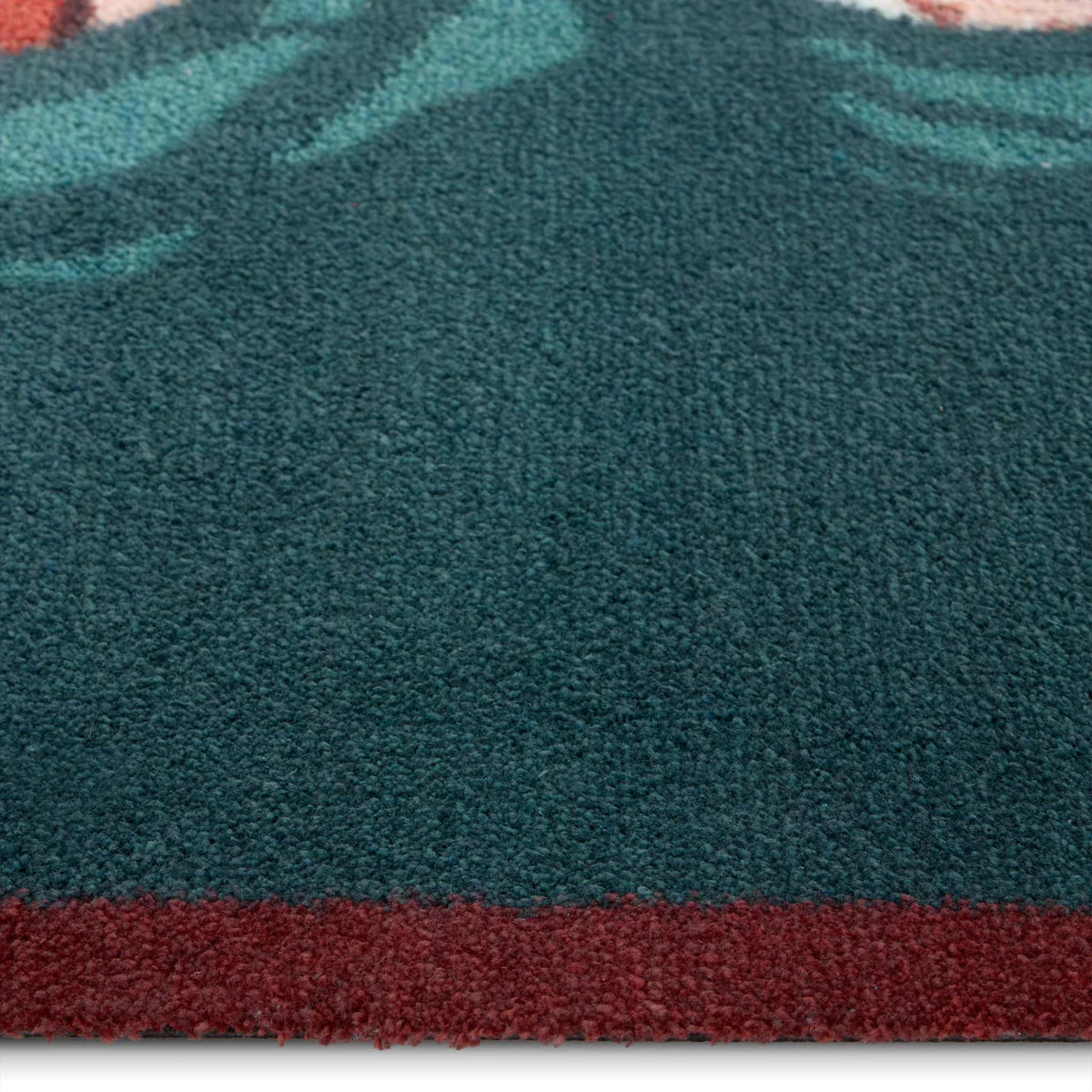 Close-up of duck illustration on teal background