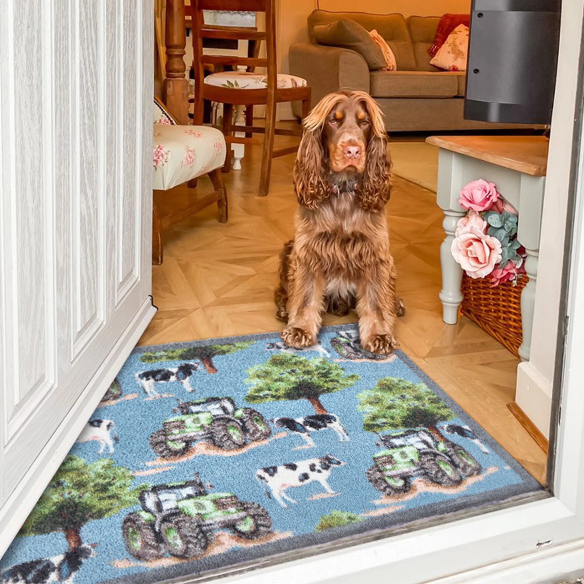 Hug Rug Farmyard catching dirt at farmhouse doorway


