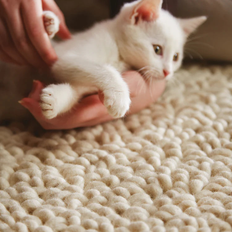 Union rug ivory rug guru