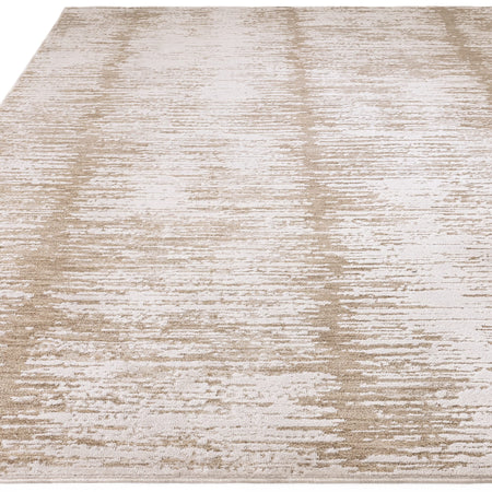 Modern area rug with natural flow design


