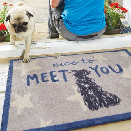 Dog standing on a doormat with 'nice to MEET YOU' text and a dog illustration.