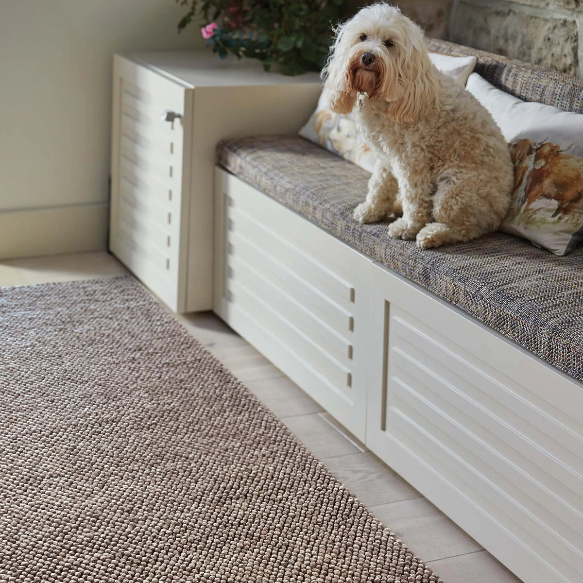 Dog sitting on a cushioned bench with a rug in front
