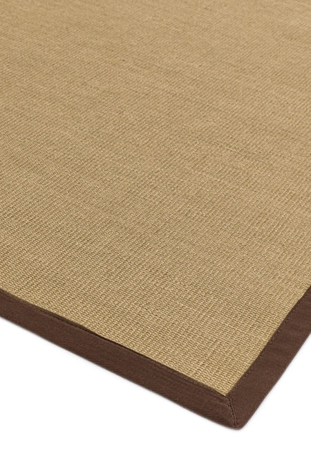 Chocolate border sisal rug